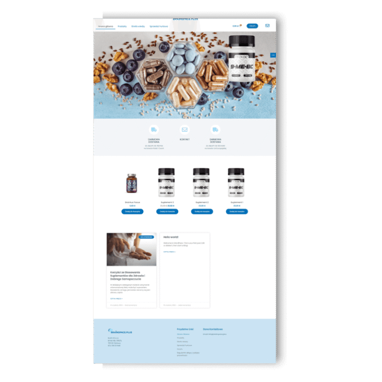 Portfolio stron BrainSpace